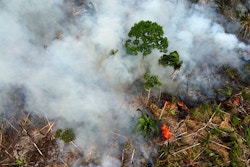 Arial view of burning rainforest. Photo.