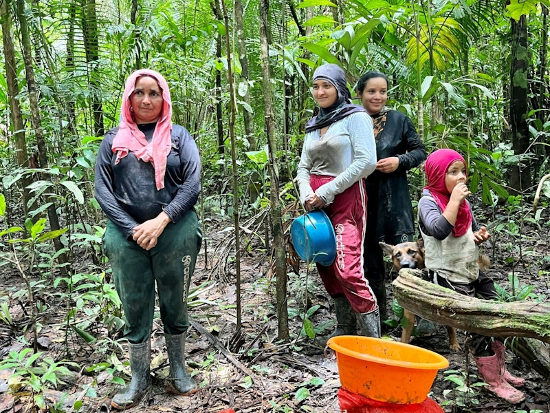 Fire kvinner står i regnskogen med sekker med frø. Foto.