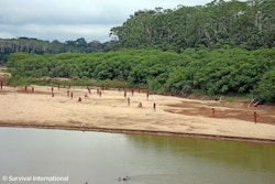 Men and boys on riverbank with rainforest in background. Photo.