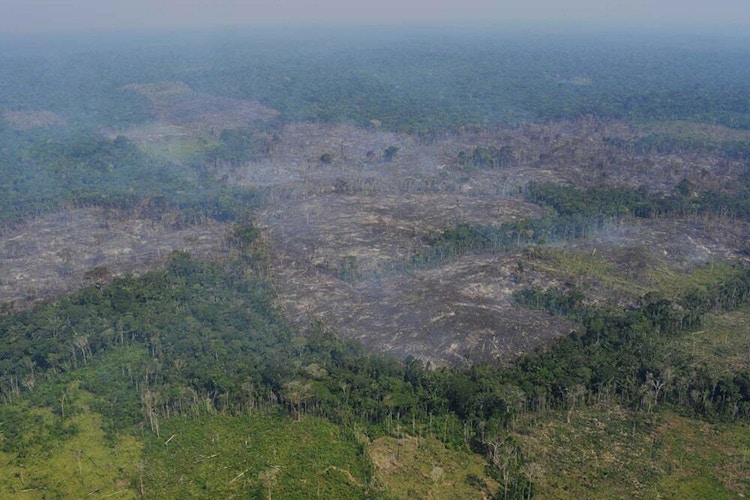 Deforestation in the Colombian Amazon photographed from above. Photo.